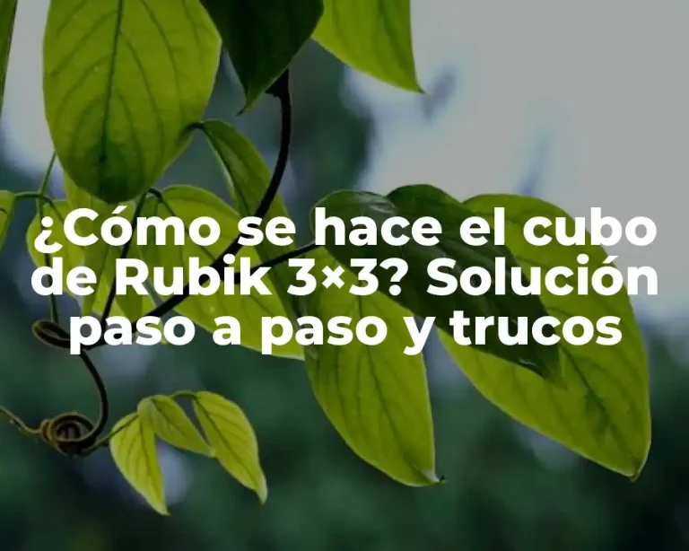 ¿Cómo se hace el cubo de Rubik 3×3? Solución paso a paso y trucos