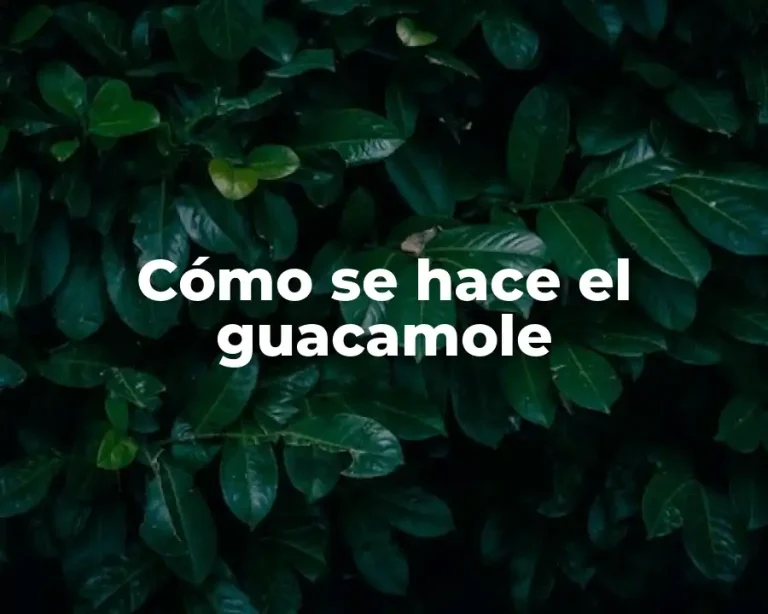 Cómo se hace el guacamole