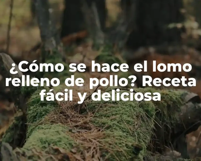 ¿Cómo se hace el lomo relleno de pollo? Receta fácil y deliciosa