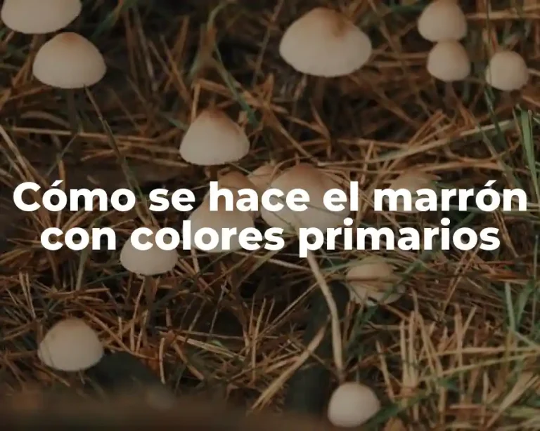 Cómo se hace el marrón con colores primarios