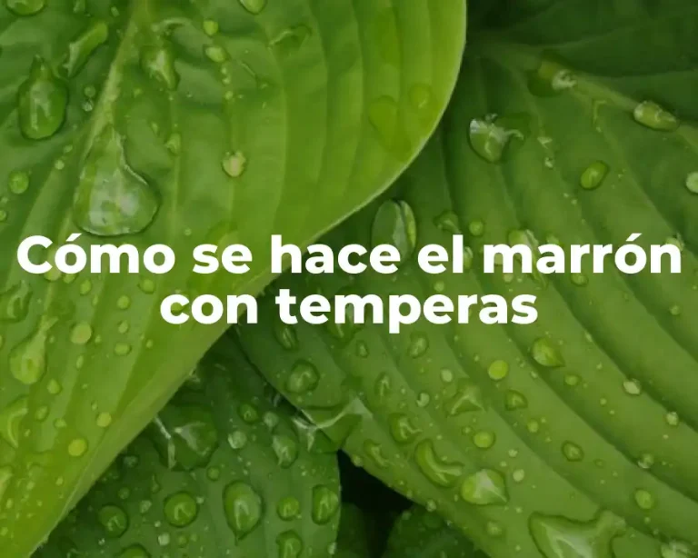 Cómo se hace el marrón con temperas