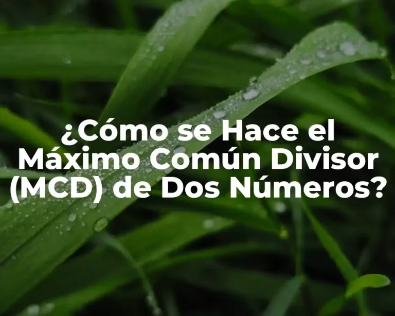 ¿Cómo se Hace el Máximo Común Divisor (MCD) de Dos Números?