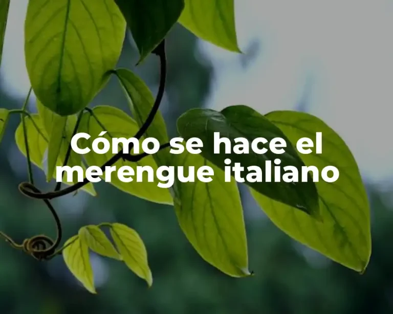 Cómo se hace el merengue italiano