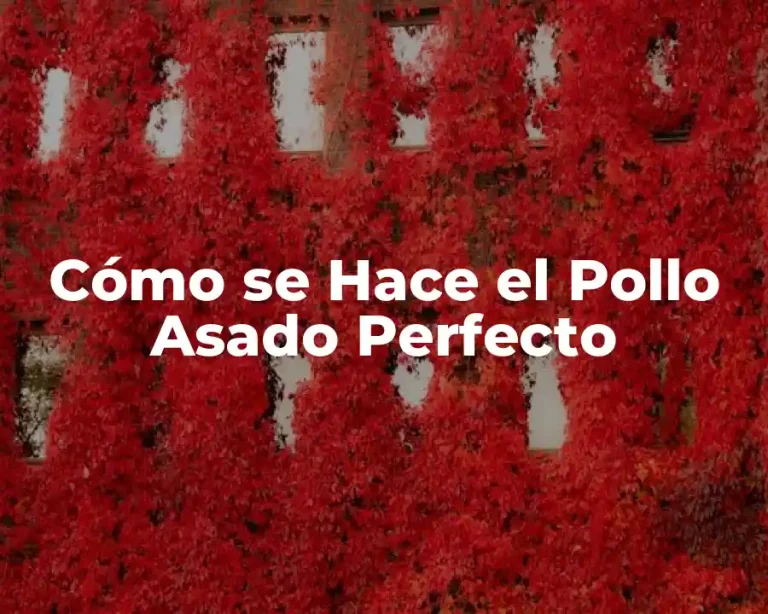 Cómo se Hace el Pollo Asado Perfecto