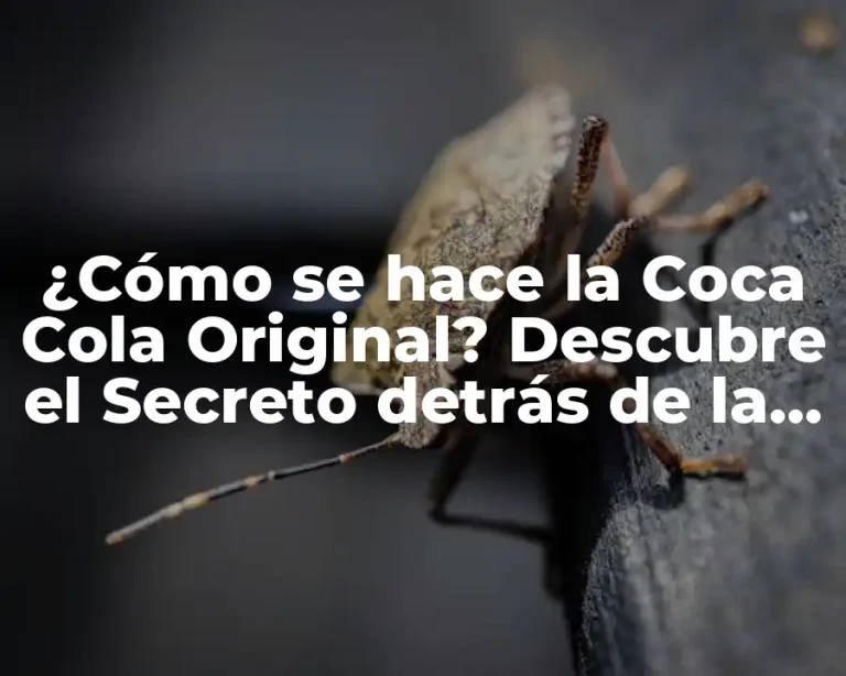 ¿Cómo se hace la Coca Cola Original? Descubre el Secreto detrás de la Fórmula más Cercana
