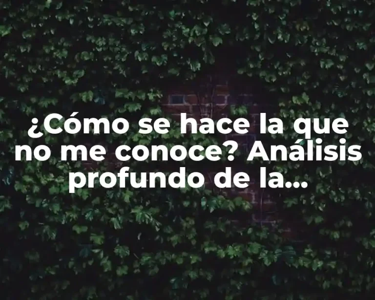 ¿Cómo se hace la que no me conoce? Análisis profundo de la ignorancia