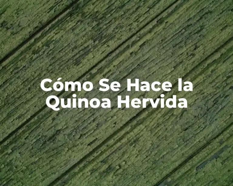Cómo Se Hace la Quinoa Hervida