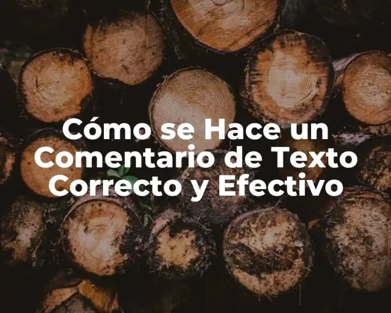 Cómo se Hace un Comentario de Texto Correcto y Efectivo