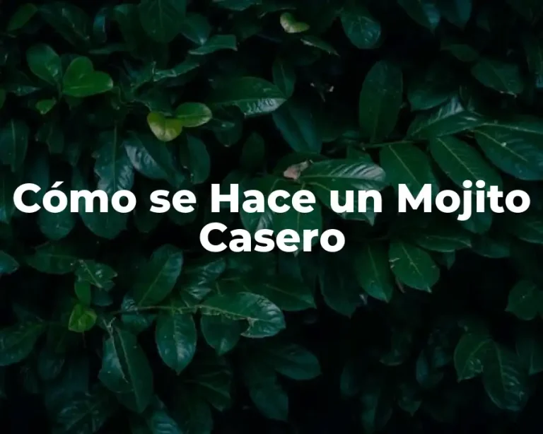 Cómo se Hace un Mojito Casero