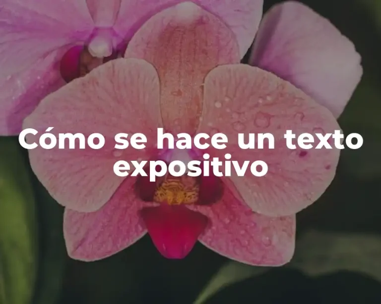 Cómo se hace un texto expositivo