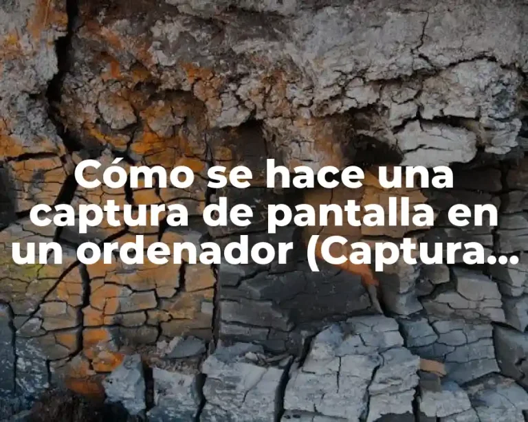 Cómo se hace una captura de pantalla en un ordenador (Captura de pantalla en PC)