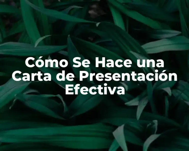 Cómo Se Hace una Carta de Presentación Efectiva