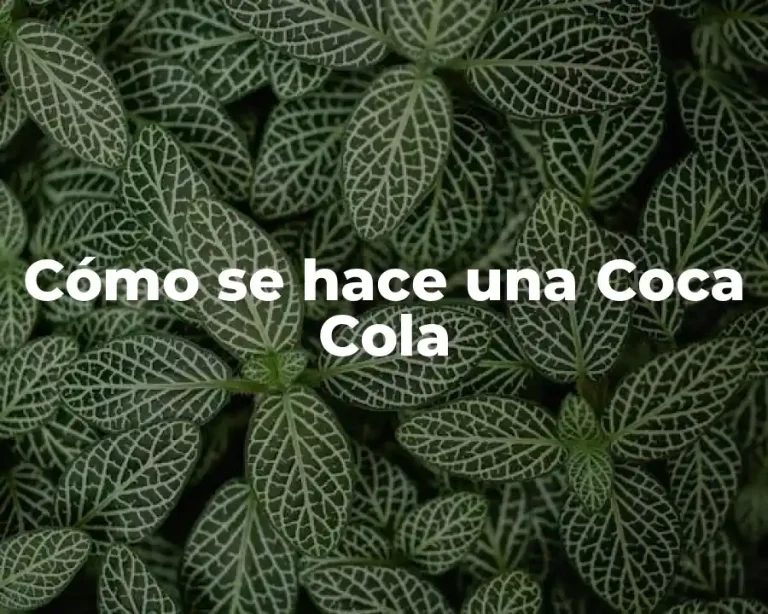 Cómo se hace una Coca Cola