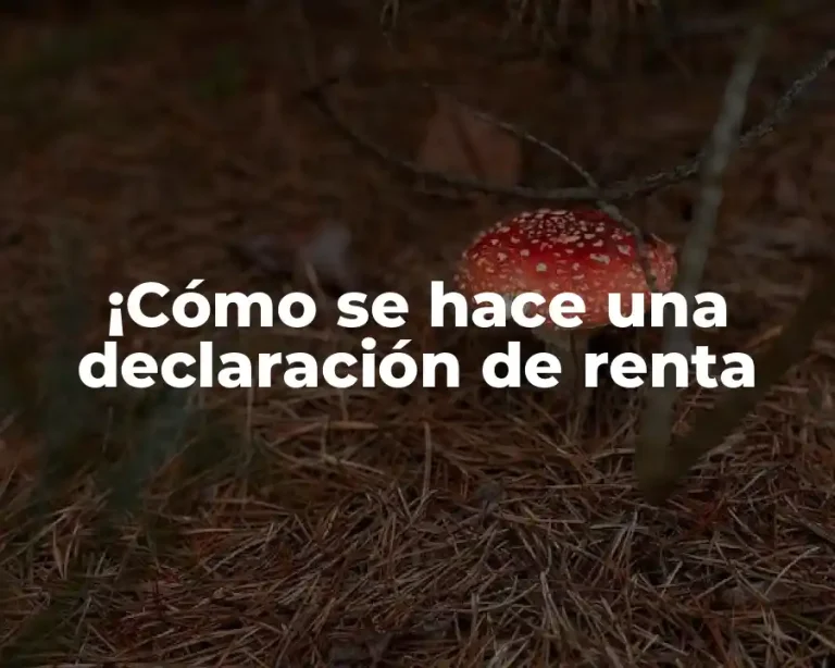 ¡Cómo se hace una declaración de renta