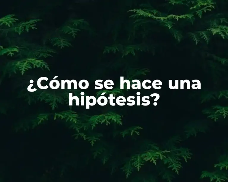 ¿Cómo se hace una hipótesis?