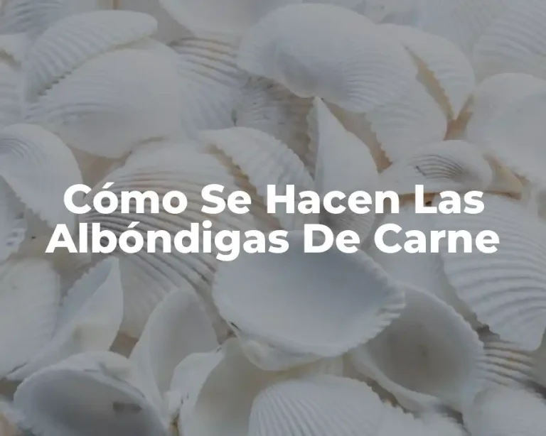 Cómo Se Hacen Las Albóndigas De Carne