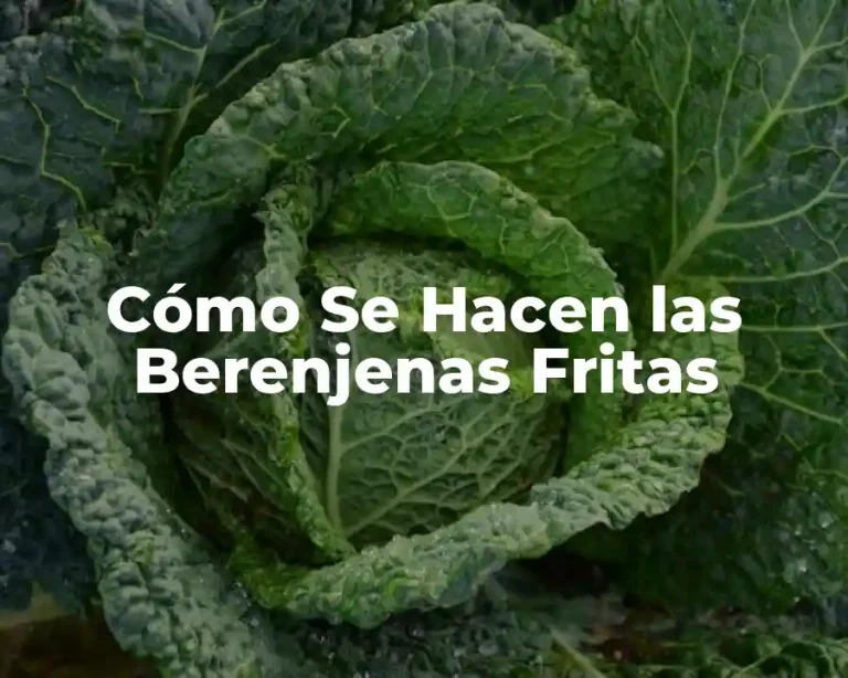 Cómo Se Hacen las Berenjenas Fritas