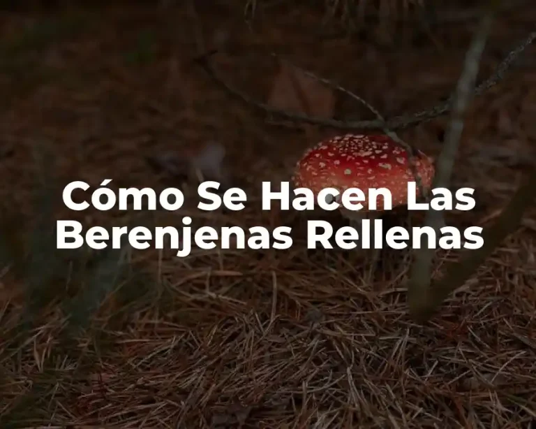 Cómo Se Hacen Las Berenjenas Rellenas