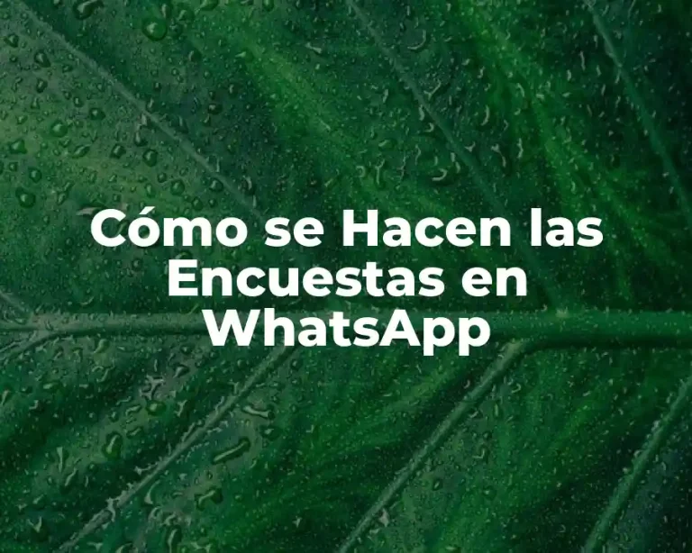 Cómo se Hacen las Encuestas en WhatsApp