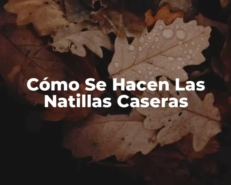 Cómo Se Hacen Las Natillas Caseras