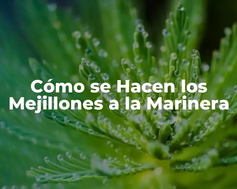 Cómo se Hacen los Mejillones a la Marinera