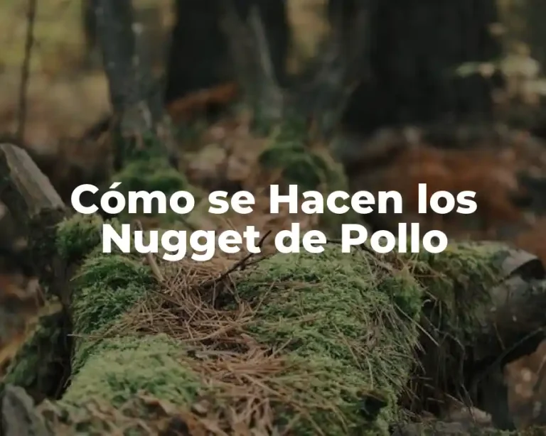 Cómo se Hacen los Nugget de Pollo