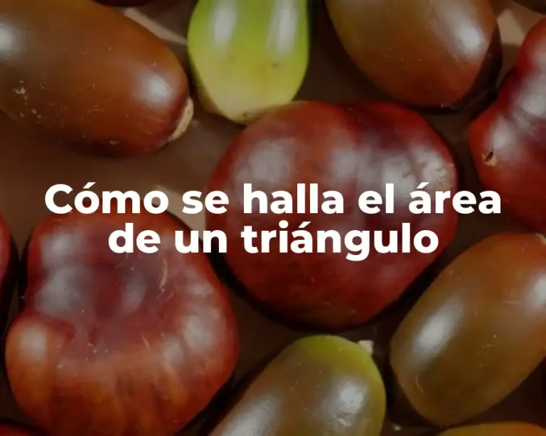 Cómo se halla el área de un triángulo