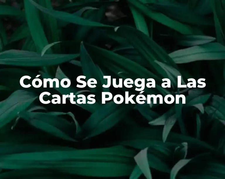 Cómo Se Juega a Las Cartas Pokémon
