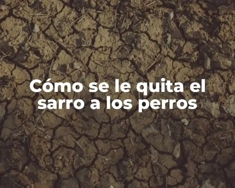 Cómo se le quita el sarro a los perros