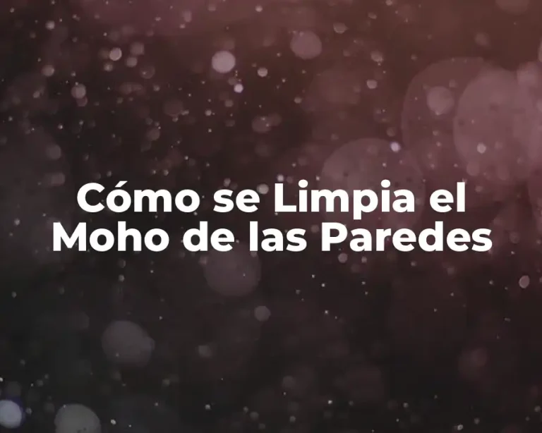 Cómo se Limpia el Moho de las Paredes