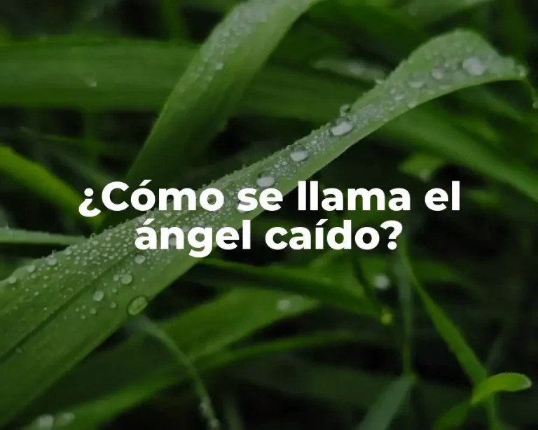 ¿Cómo se llama el ángel caído?