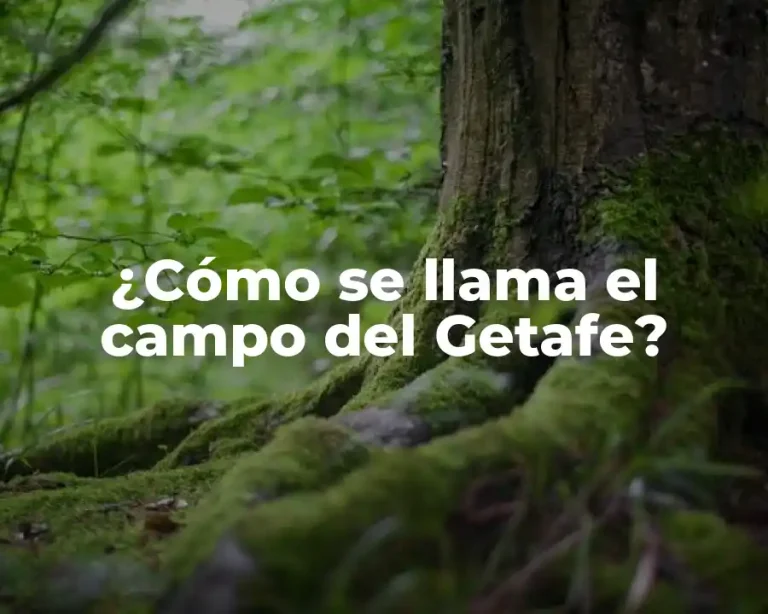 ¿Cómo se llama el campo del Getafe?