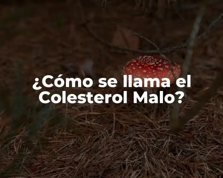 ¿Cómo se llama el Colesterol Malo?
