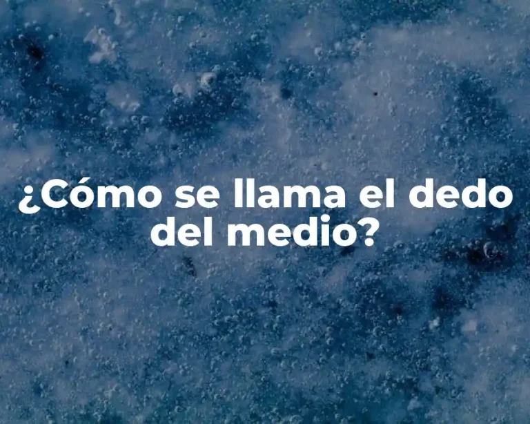 ¿Cómo se llama el dedo del medio?