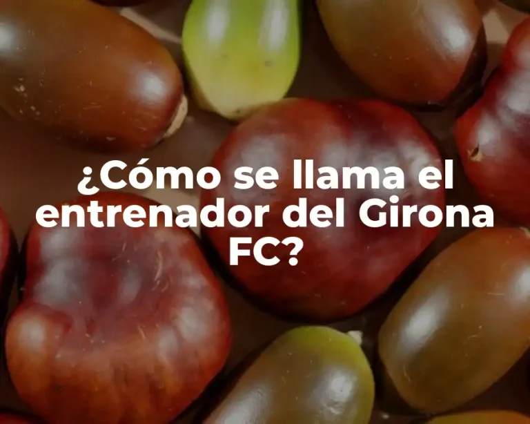 ¿Cómo se llama el entrenador del Girona FC?