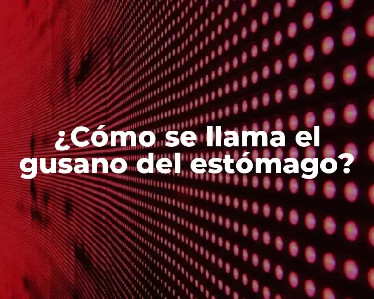 ¿Cómo se llama el gusano del estómago?