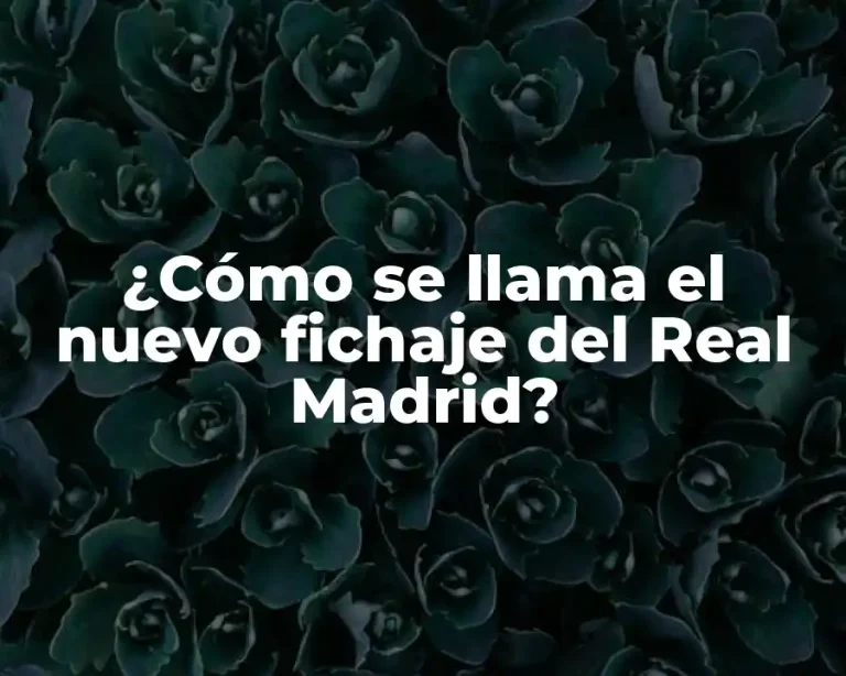 ¿Cómo se llama el nuevo fichaje del Real Madrid?