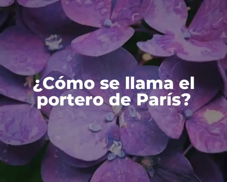 ¿Cómo se llama el portero de París?