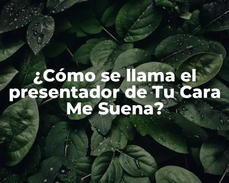 ¿Cómo se llama el presentador de Tu Cara Me Suena?