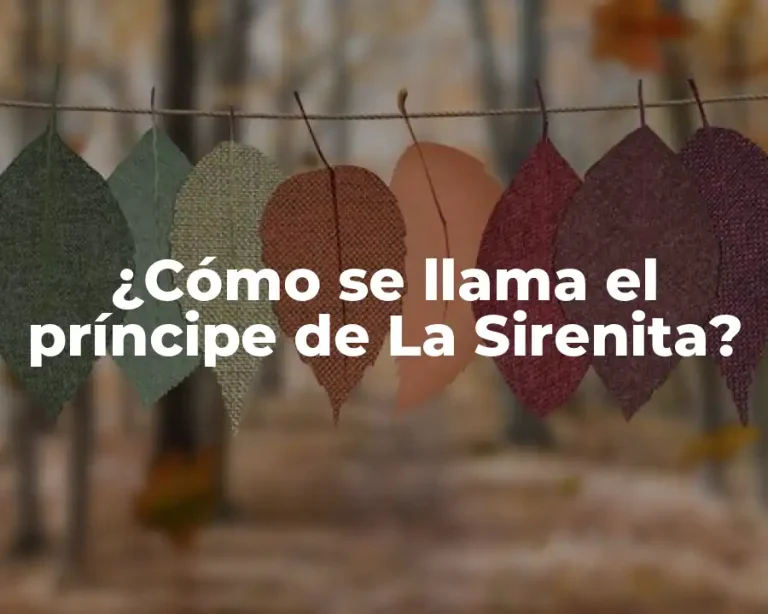 ¿Cómo se llama el príncipe de La Sirenita?