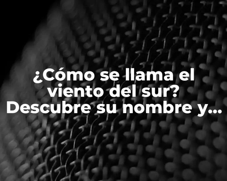 ¿Cómo se llama el viento del sur? Descubre su nombre y características
