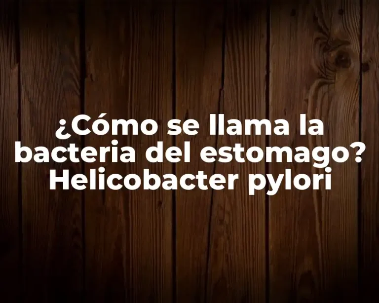 ¿Cómo se llama la bacteria del estomago? Helicobacter pylori