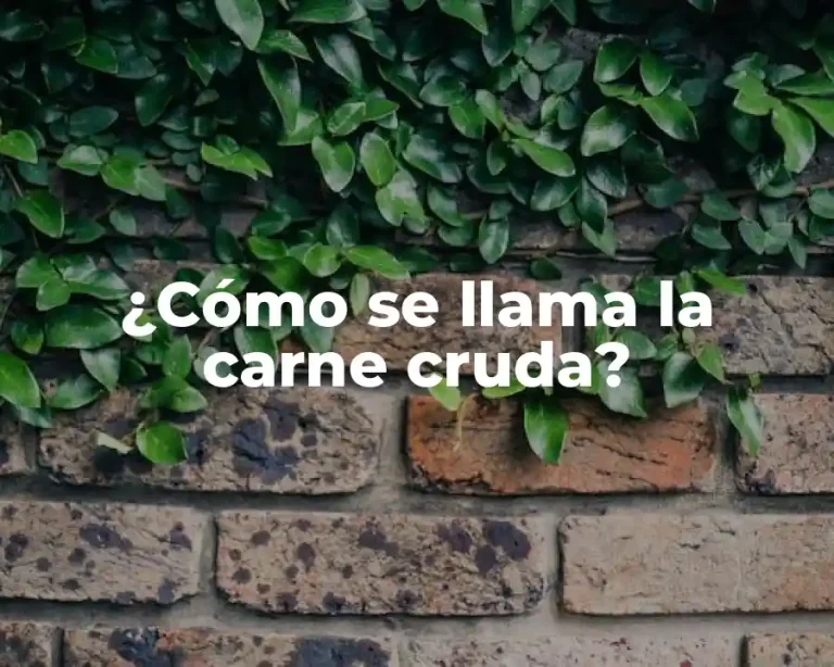 ¿Cómo se llama la carne cruda?