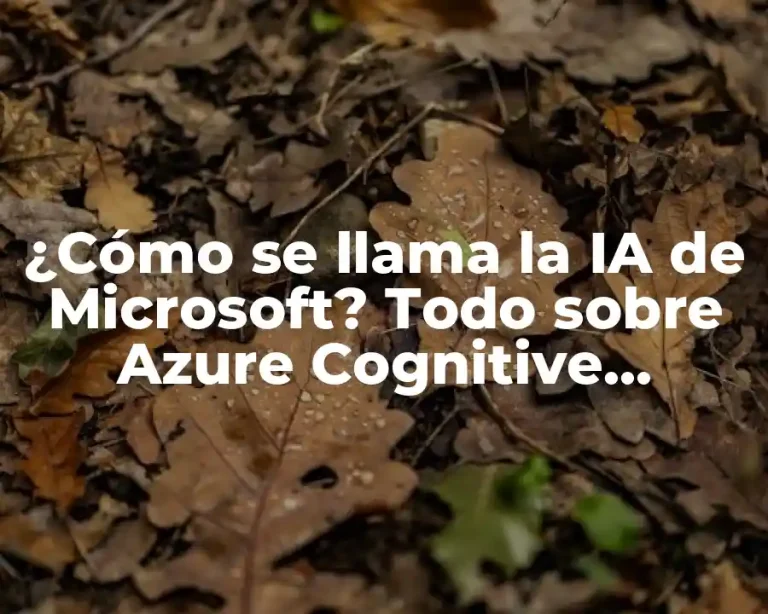 ¿Cómo se llama la IA de Microsoft? Todo sobre Azure Cognitive Services