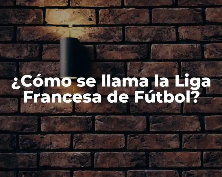 ¿Cómo se llama la Liga Francesa de Fútbol?