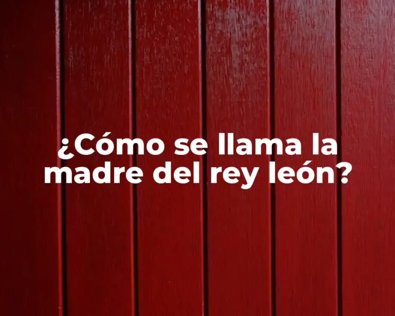 ¿Cómo se llama la madre del rey león?