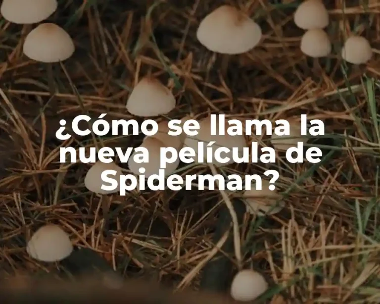 ¿Cómo se llama la nueva película de Spiderman?