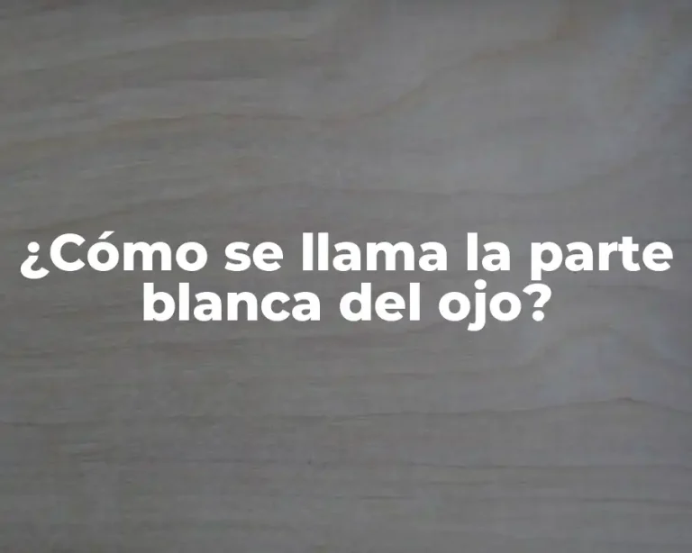 ¿Cómo se llama la parte blanca del ojo?