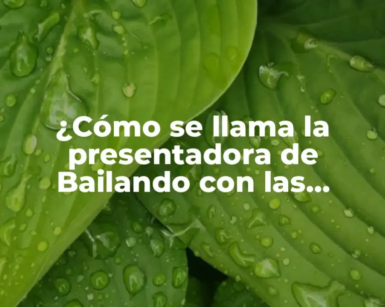 ¿Cómo se llama la presentadora de Bailando con las estrellas?