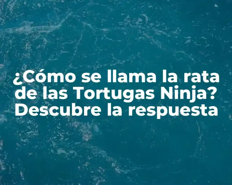 ¿Cómo se llama la rata de las Tortugas Ninja? Descubre la respuesta